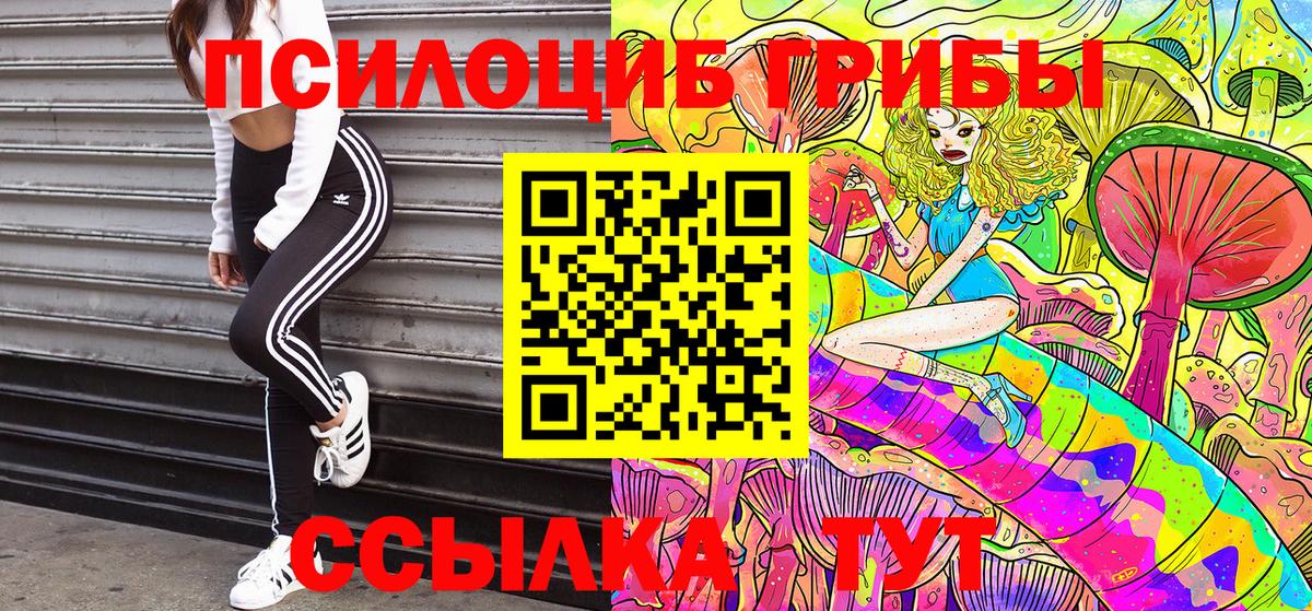 Лосино-Петровский  где купить наркотик  Вход с VPN  Псилоцибиновые грибы прущие грибы 