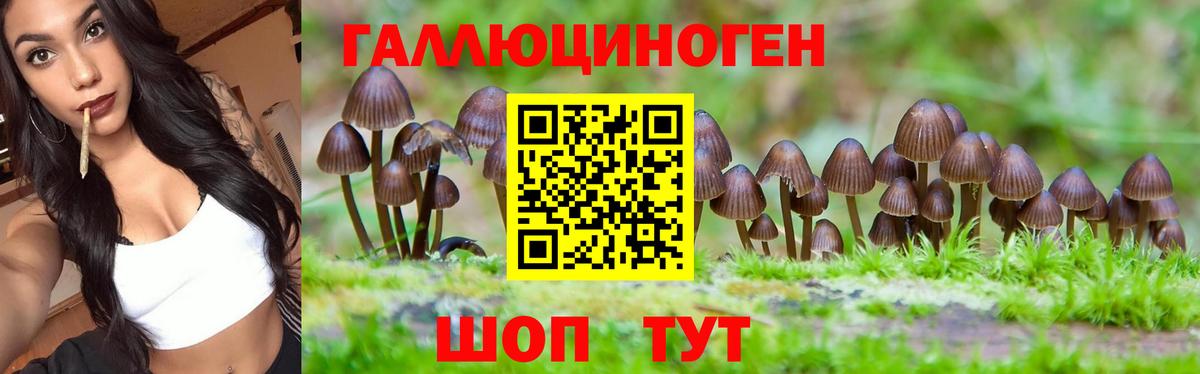 Псилоцибиновые грибы MAGIC MUSHROOMS Лосино-Петровский